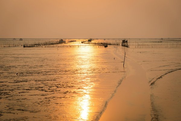 Comment se déplacer efficacement dans les grandes villes sans voiture ?