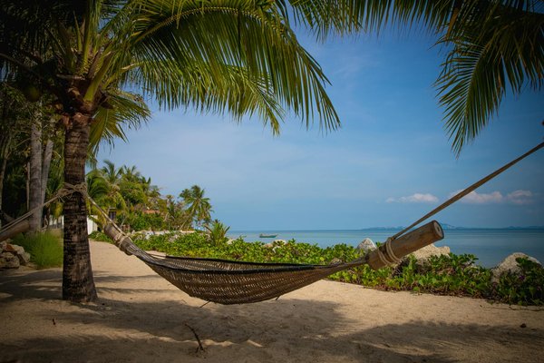 Comment identifier les lieux d'intérêt cachés autour de votre location de vacances ?